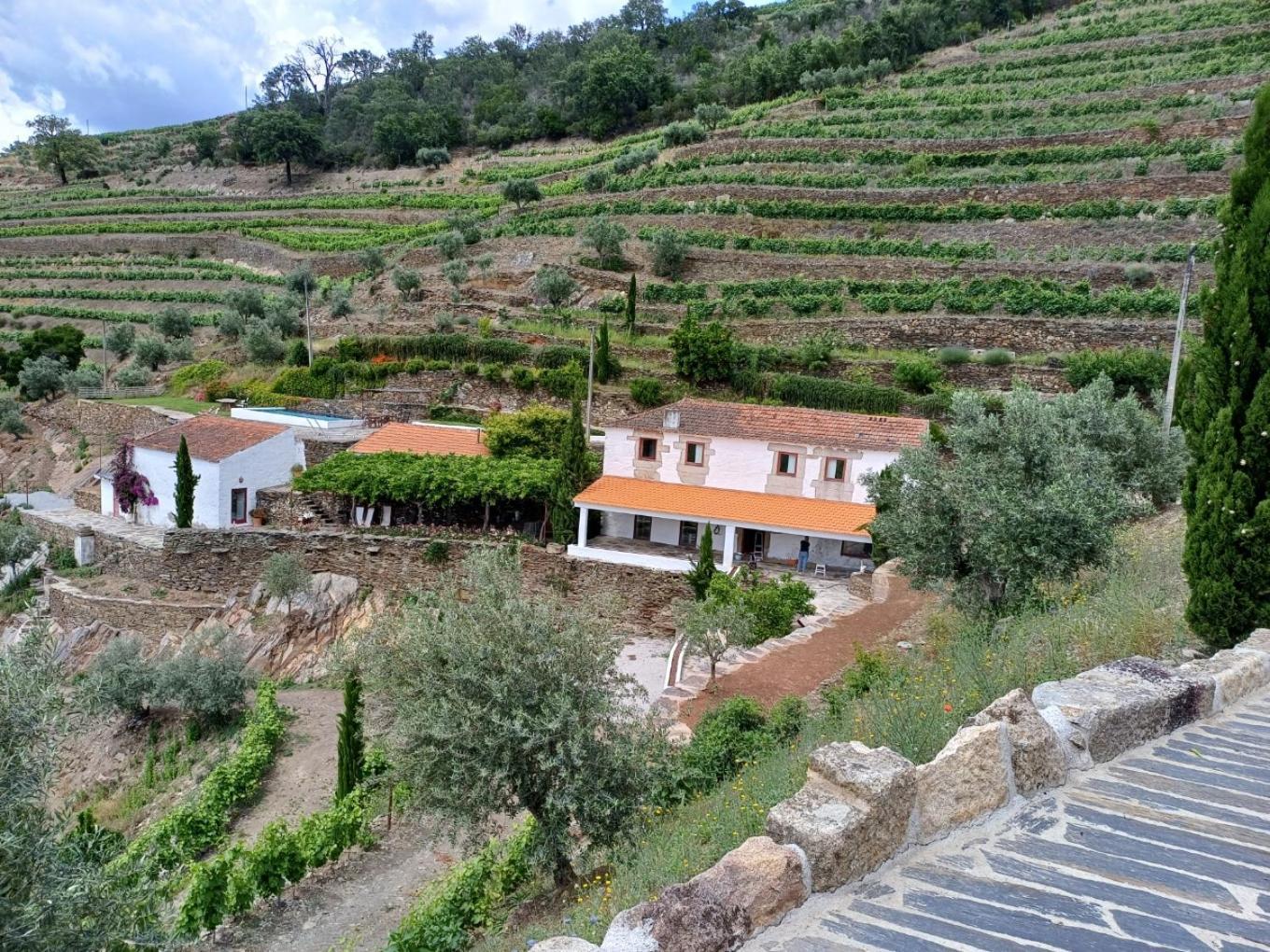 Country House Quinta Da Salgueira Alijó Exterior foto
